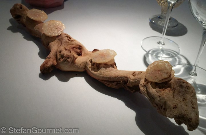 01522cb63174727399037f608279a589cc47cfea8a