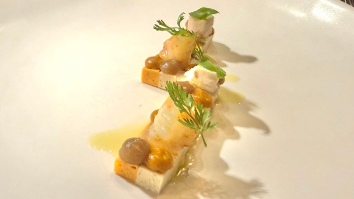 A beautifully plated dish featuring delicate pieces of seafood atop squares of tofu, garnished with vibrant herbs and a light sauce.