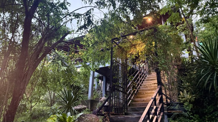 A staircase leading to a restaurant surrounded by lush greenery and trees, with soft lighting illuminating the path.