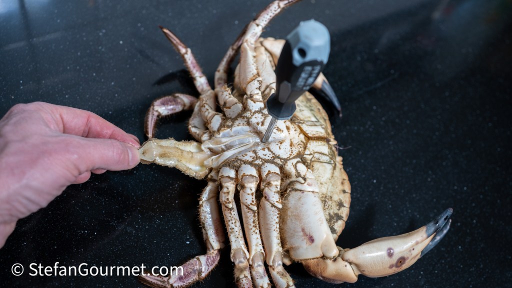 A person using a tool to prepare a live crab on a dark countertop.