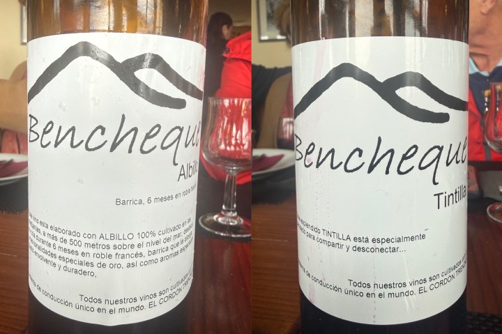 Image of two wine bottles labeled 'Bencheque' with descriptions in Spanish. The left bottle is 'Albillo' aged for 6 months in oak, while the right bottle is 'Tintilla' meant for sharing and relaxation.