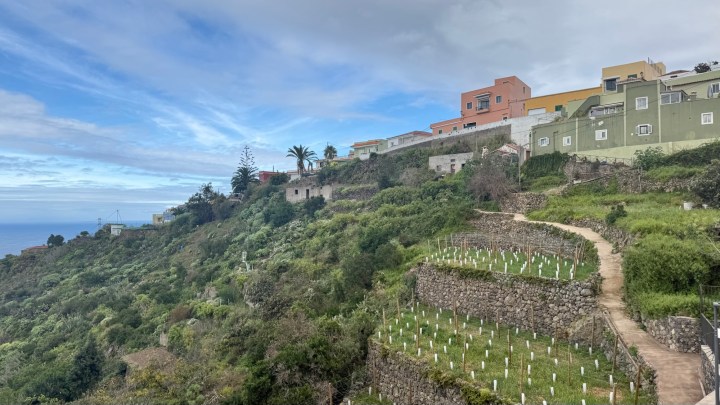A hillside landscape featuring terraced gardens with white markers, surrounded by lush greenery and colorful houses on the slope, under a partly cloudy sky.