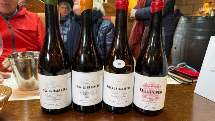 Four bottles of wine displayed on a wooden table, with labels indicating 'Finca La Habanera' and 'La Quinta Roja', featuring colorful caps and a background of people enjoying a tasting.