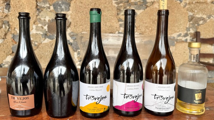 A collection of wine bottles labeled 'Tr خو Ohj os', featuring varying colors and styles, placed on a wooden table with a rustic stone wall in the background.