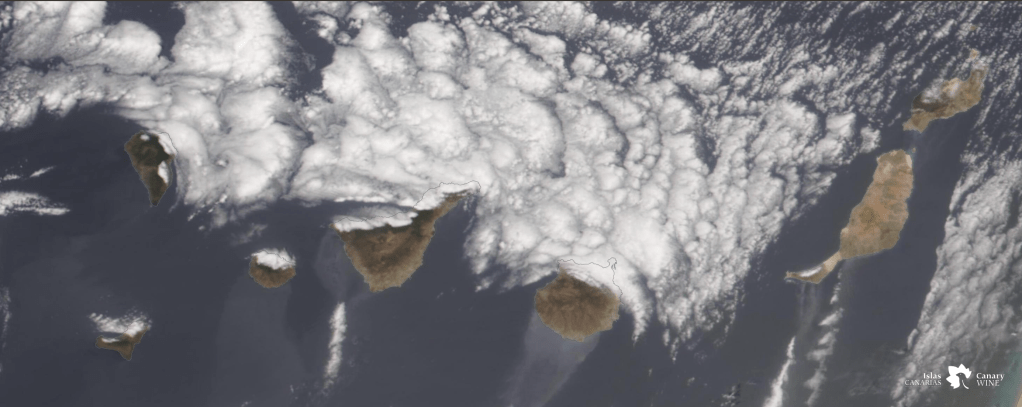 Aerial view of the Canary Islands showing various islands surrounded by clouds and ocean.