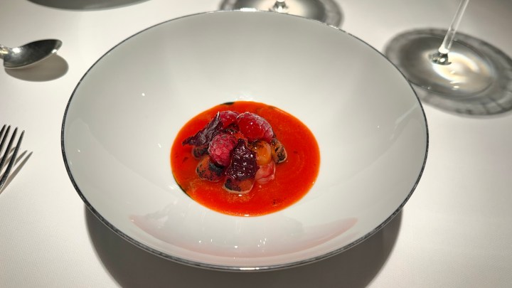 A gourmet dish served in a white bowl, featuring vibrant red sauce and garnished with various berries.