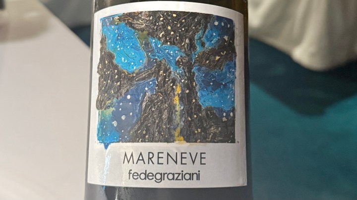 Label of a wine bottle named Mareneve by Fedegraziani featuring an abstract design with blue and black colors.