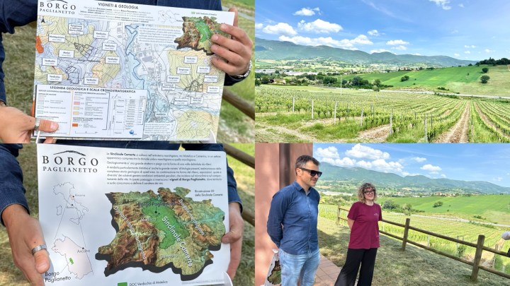 A person holding a geological map while standing next to a vineyard, with rolling hills and mountains in the background.