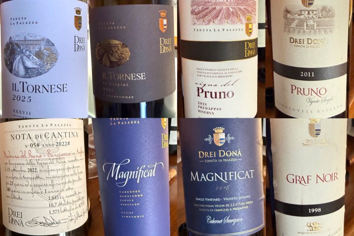 A collection of wine bottles from Drei Dona, showcasing labels for Il Tornese 2025, Pruno 2021, Magnificat 2016, and Graf Noir 1998.