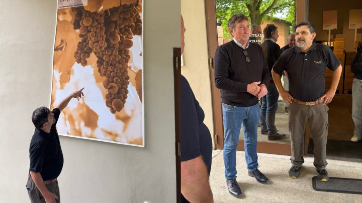 A man pointing at a large poster of grapes on a wall, while two other men engage in conversation nearby outside a building.