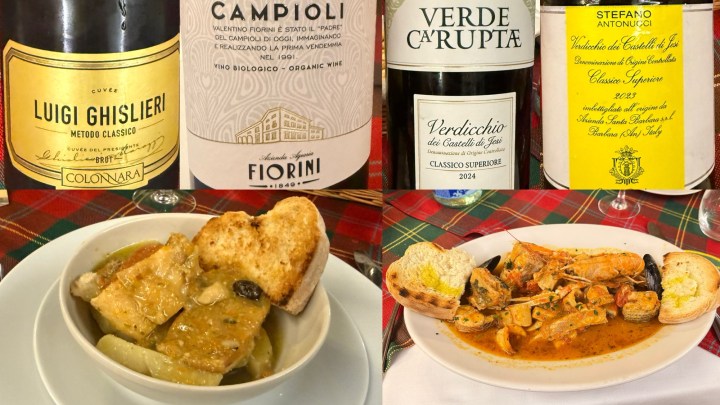 A selection of wines with labels showing 'Luigi Ghisleri', 'Campioli', 'Verde C'Arupte', and 'Stefano Antonucci' on a tartan tablecloth.