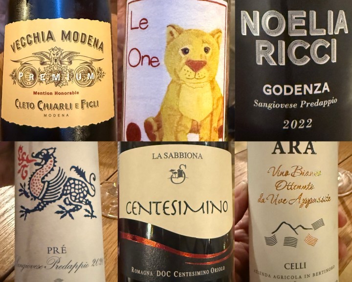 A collection of wine bottles featuring various labels, including Vecchia Modena, Le One with a lion illustration, Noelia Ricci, Centesimino, and Ara.