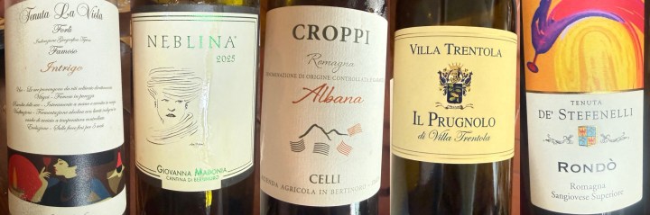 A collection of five wine bottles showcasing various labels. From left to right: 'Intrigo' from Tenuta La Vite, 'Neblina' from Giovanna Manopola, 'Croppi Albana' from Celli, 'Il Prugnolo' from Villa Trentola, and 'Rondò' from Tenuta de'Stefenelli.