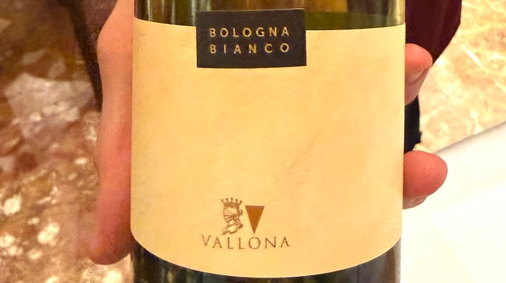 A person holding a bottle of Bologna Bianco wine with a label displaying the name 'Vallona'.