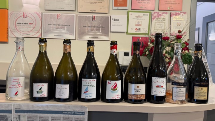 A collection of wine bottles displayed on a countertop, featuring various shapes and labels, with certificates and awards in the background.