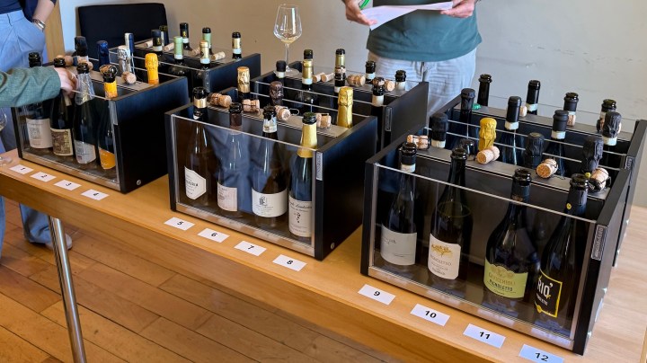 A table displaying several boxes of wine bottles with corks partially removed, and a wine glass next to a person holding a sheet of paper.