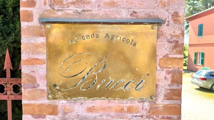 A weathered brass sign on a brick wall reads 'Azienda Agricola Bucci'.