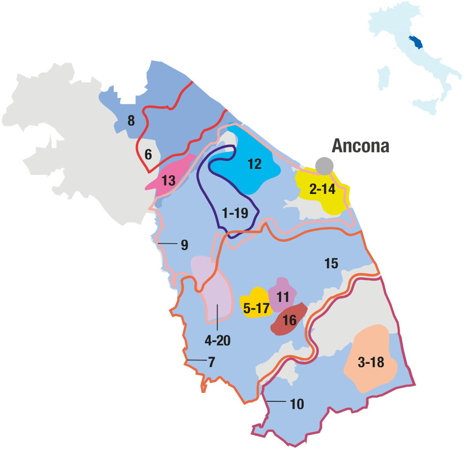 Map of a region in Italy with various colored areas and numbered sections, highlighting boundaries and locations, including the city of Ancona.