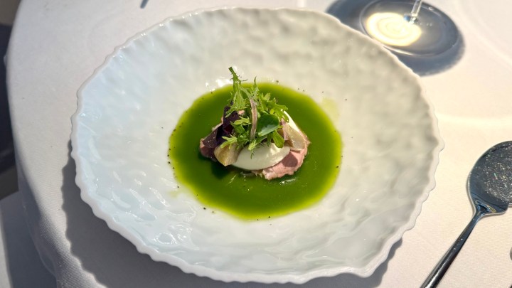 A decorative plate featuring a green sauce base with a portion of meat and a dollop of cream, garnished with fresh herbs.