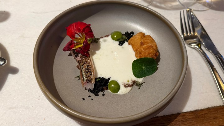 A gourmet dish presented in a round gray plate, featuring a slice of fish garnished with edible flowers, sauce, and green olives, alongside a golden breaded item, and a sprinkle of black crumbs.