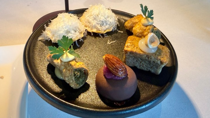 A plate featuring an assortment of gourmet dishes, including small pastries topped with herbs, a piece of textured cake, and a round dessert with an almond on top.