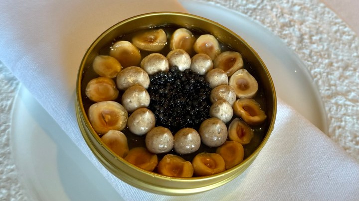 A beautifully arranged dish featuring caviar at the center, surrounded by hazelnuts, presented in a golden tin.