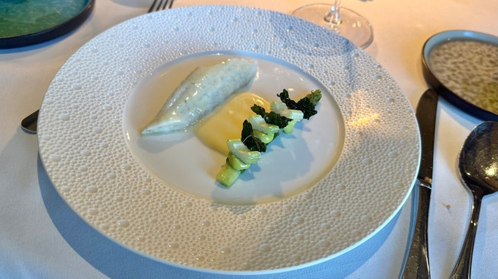 A fine dining plate featuring a fillet of fish with a creamy sauce, accompanied by sautéed greens and vegetables, presented elegantly on a textured white plate.
