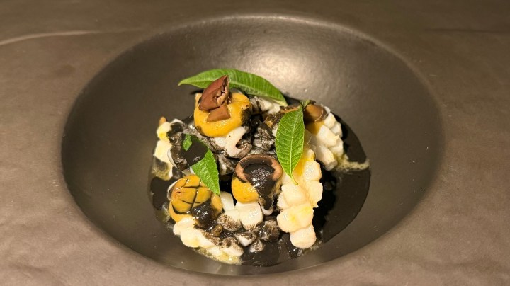 A gourmet dish featuring black sauce, yellow citrus elements, and decorative leaves, presented on a dark plate.